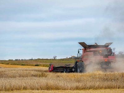 combine barley