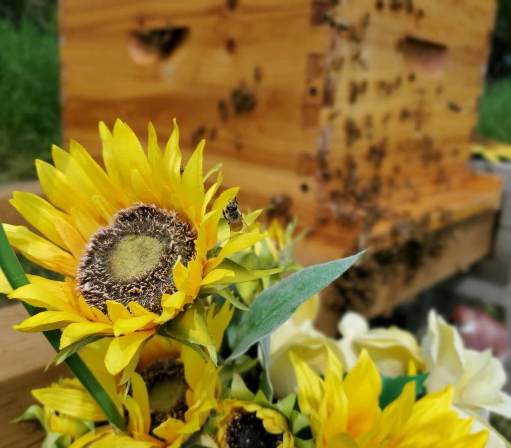 Busy Bees