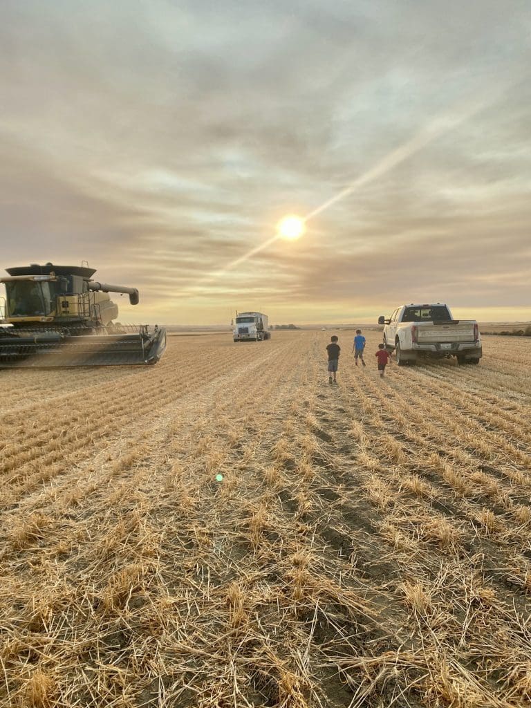 Family Harvest