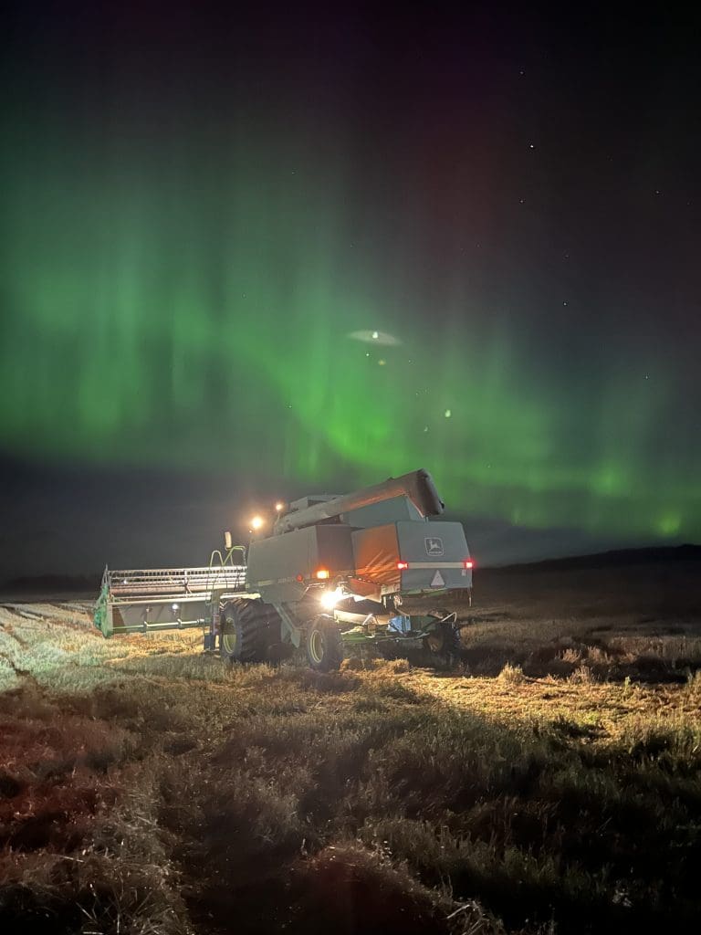 Harvesting with a show!