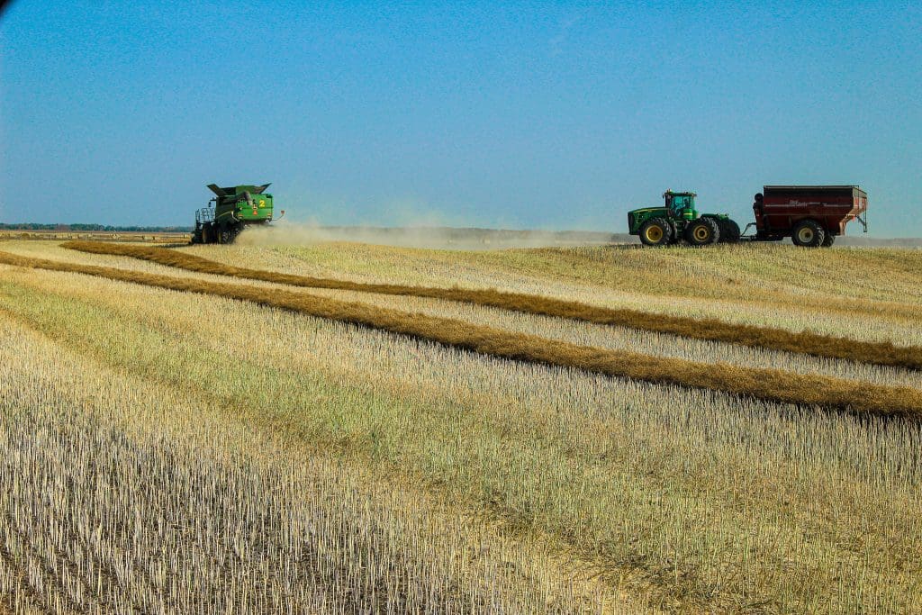 John Deere Green