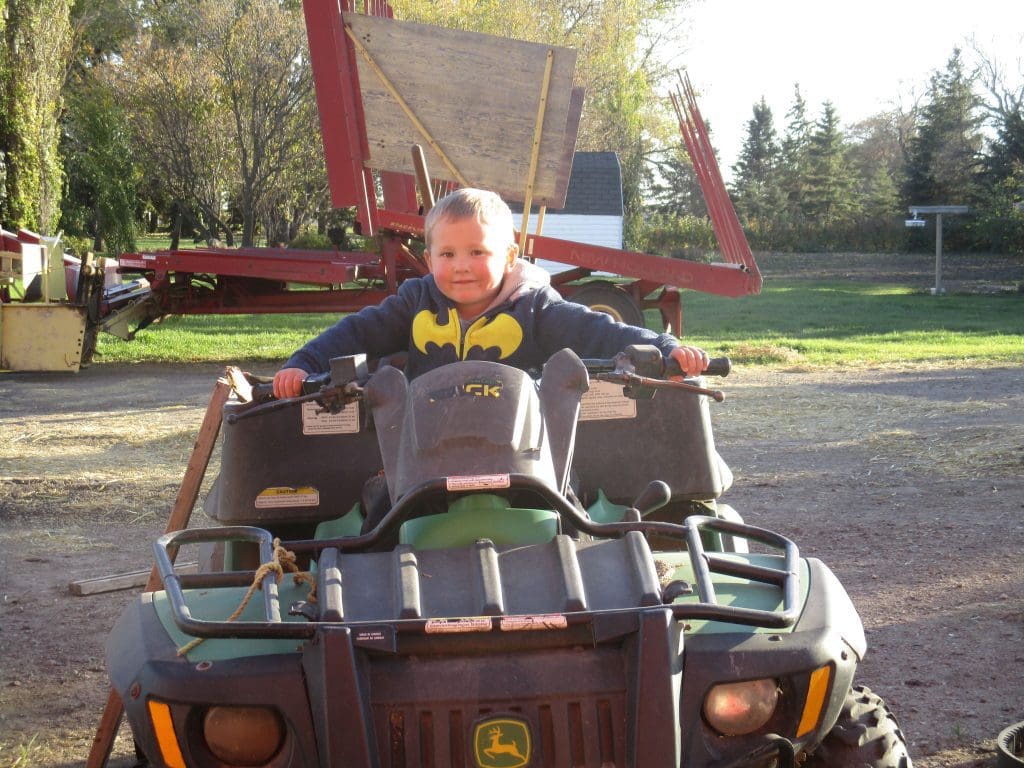 Little Zoomer