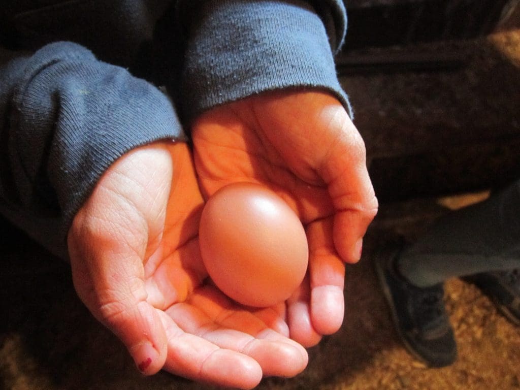 Holding Life