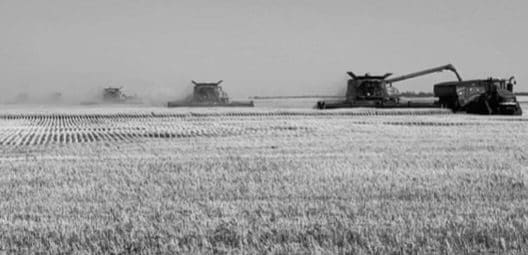 Harvest