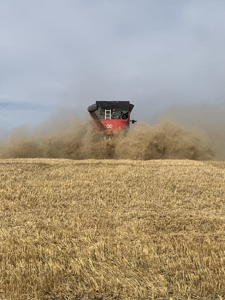 Windy, Dusty Day