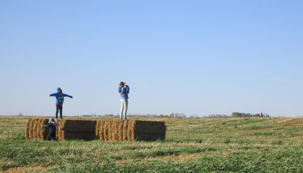 Playing on the Bales