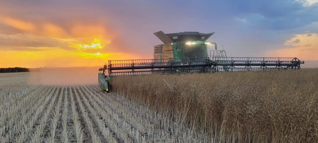 Harvest Sunsets