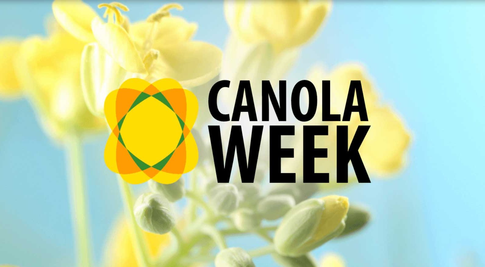 Canola-week