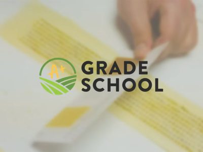 Grade-School