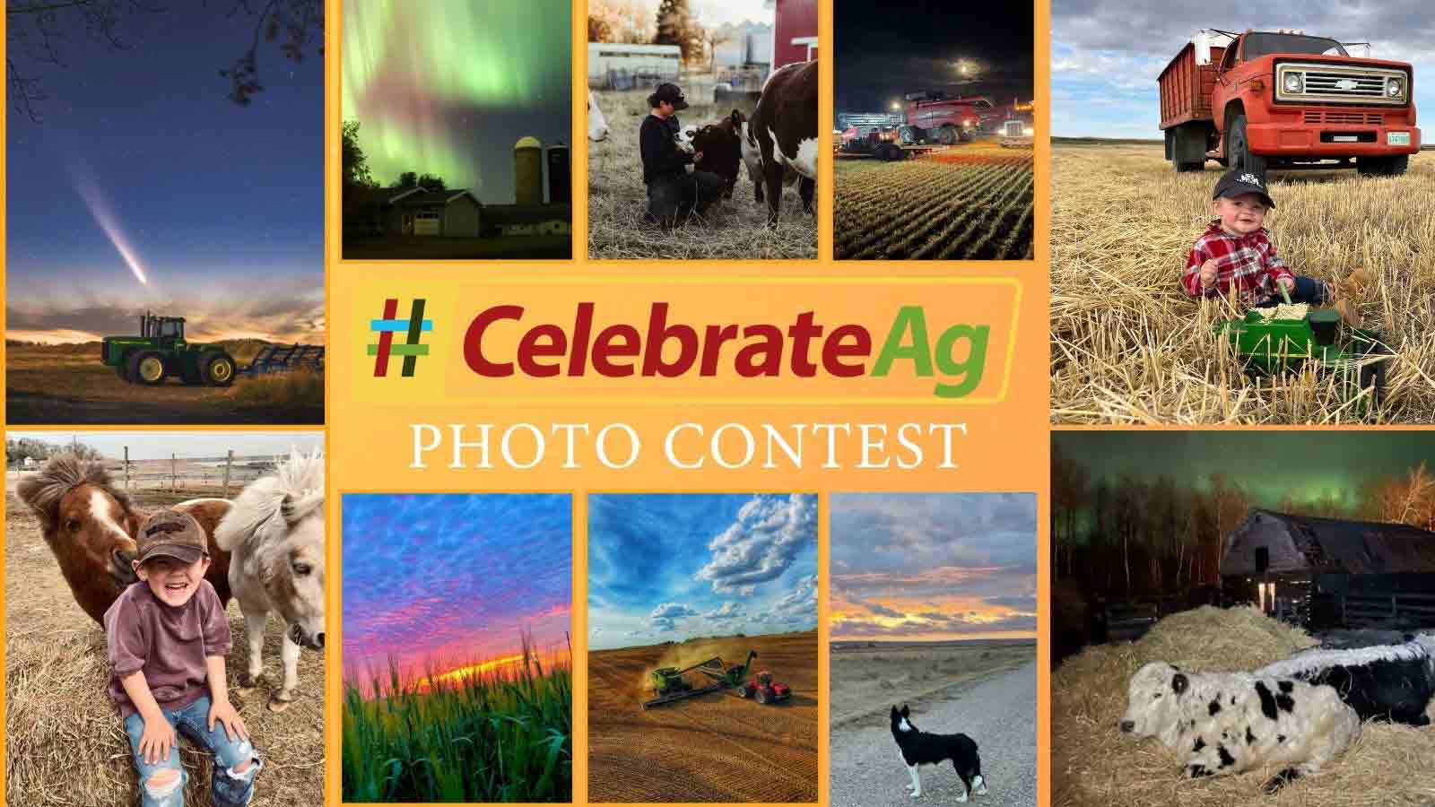 Photo-Contest