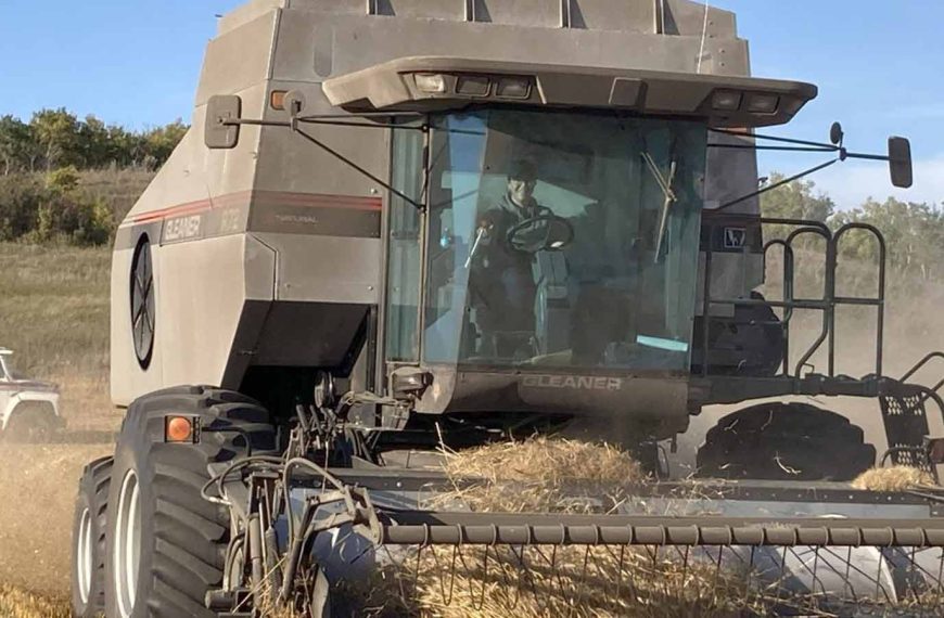 Sandra-in-Combine