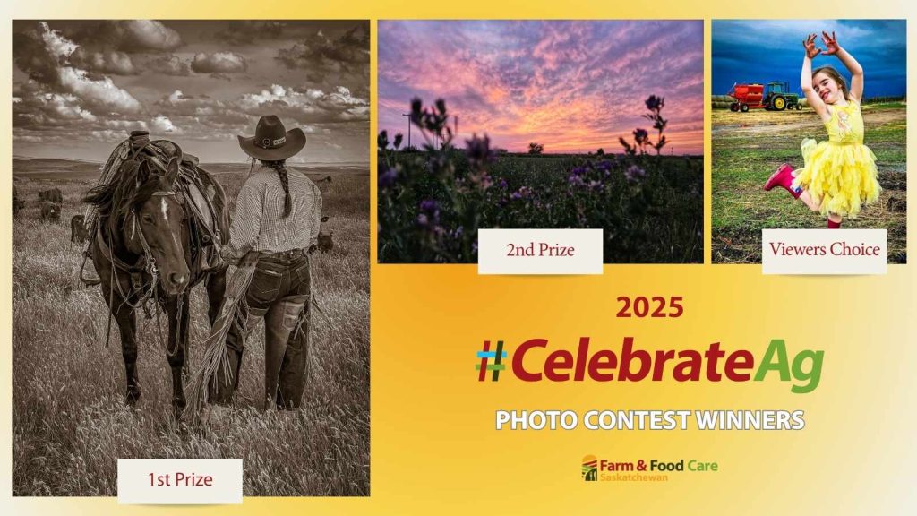 Photo Contest