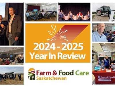 Year-in-review