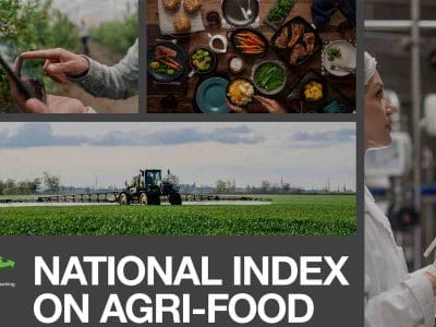 National-Index-Cover