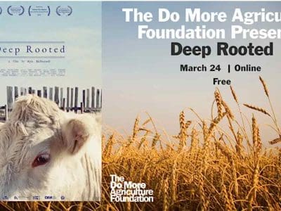 Deep-Rooted-Event