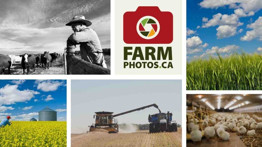 Farm Photos